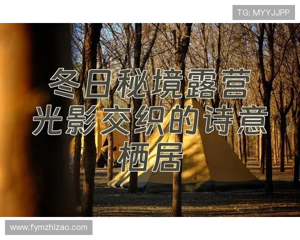 当光影遇上诗意：诗电影，一次灵魂深处的视觉与心灵对话