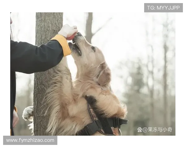 我和狗狗的十个约定:一份跨越时空的爱与承诺 我和狗狗的十个约定:一份跨越时空的爱与承诺