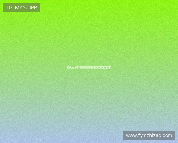 【Boss208】——开启你的无限可能，驭风而行，智领未来